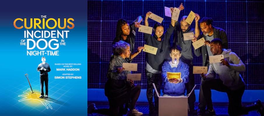 The Curious Incident of the Dog in the Night-Time at Kings Theatre